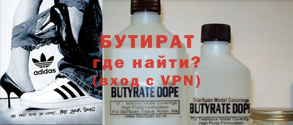 гидра Ельня