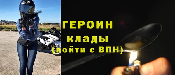 гидра Ельня