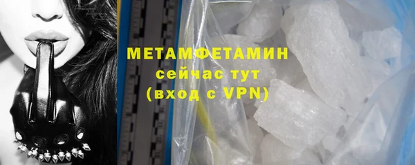 гидра Ельня