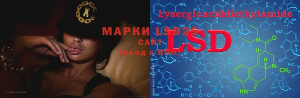 PSILOCYBIN Елизово