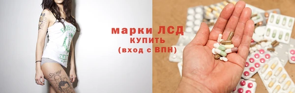 гидра Ельня
