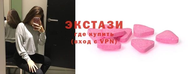 гидра Ельня