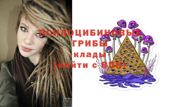 PSILOCYBIN Елизово
