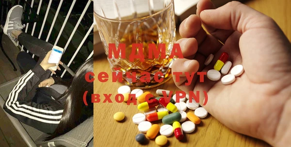 гидра Ельня