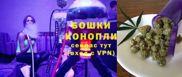 PSILOCYBIN Елизово