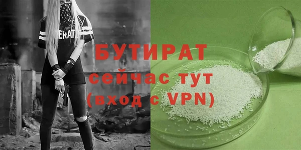 гидра Ельня