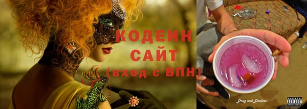 гидра Ельня