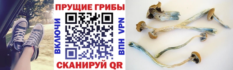 Галлюциногенные грибы Magic Shrooms  Канск 